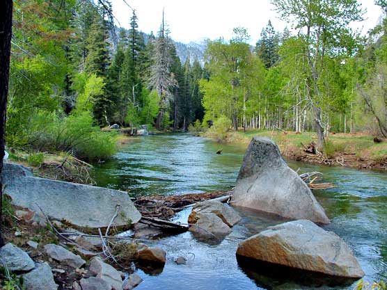The South Fork of the Kings River flows peacefully through Paradise Valley The South Fork of the Kings River flows peacefully through Paradise Valley