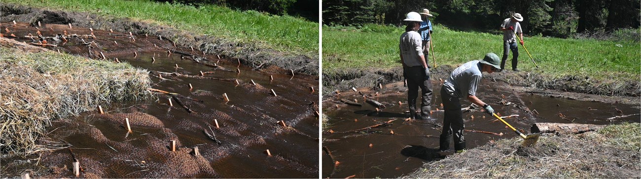 Left image: View of meadow channel with water flowing slowly over erosion control mat and sticks and logs that slow flow; right image: people rake vegetation and dirt into water along both sides of channel.