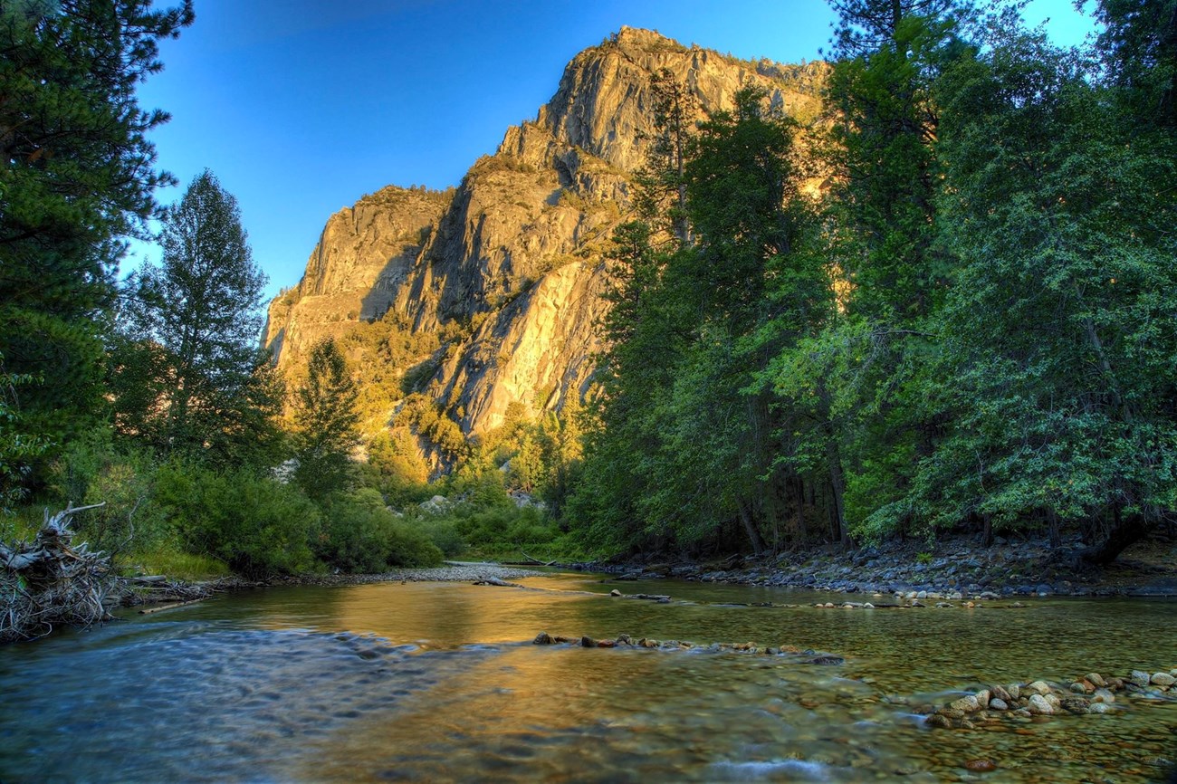 Sunlight shines on river flowing by green shrubs and trees and lights a cliff golden in the background.