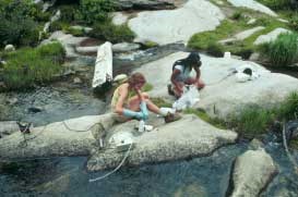 Scientists gather water samples at Emerald Lake