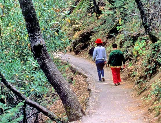 Visitors walk down the trail to Crystal Cave