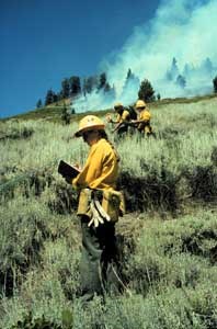 Worker monitors a lightning-ignited fire in the Mineral King area of Sequoia National Park Worker monitors a lightning-ignited fire in the Mineral King area of Sequoia National Park