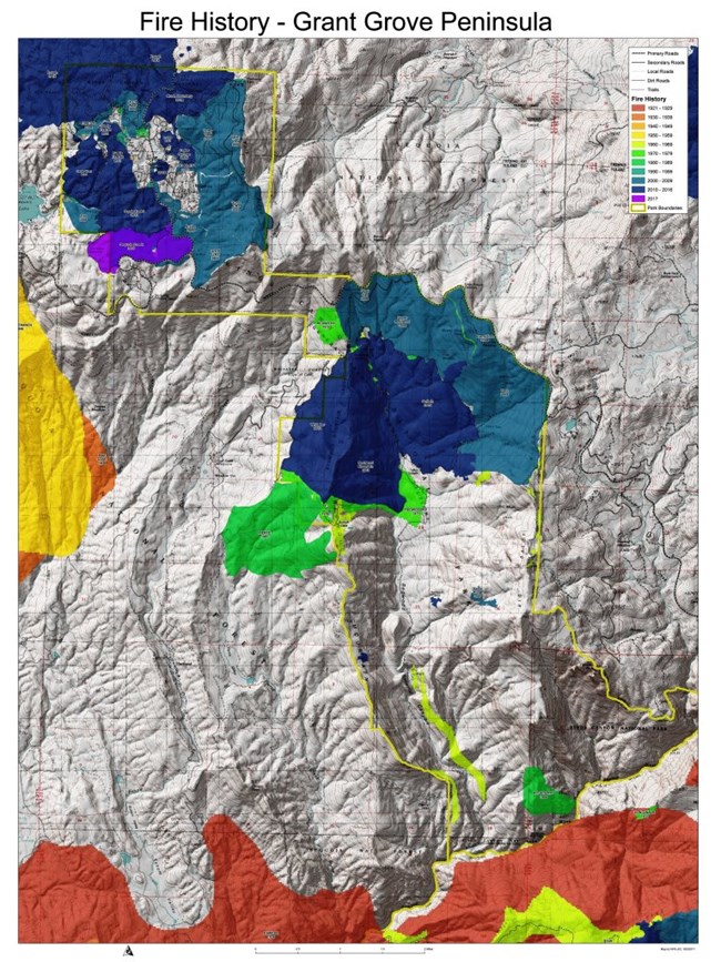 A map of the fire history of the Grant Grove Peninsula made up of various color shapes each representing a different fire's area. The period spans from today to nearly 100 years ago.