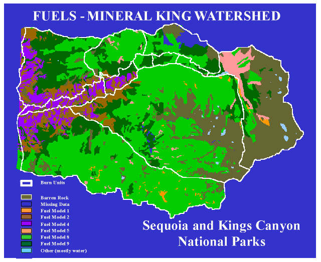 Figure 4. Fuels map of the East Fork watershed.
