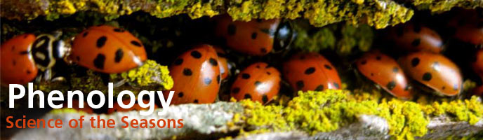 Become a Citizen Scientist Become a Citizen Scientist