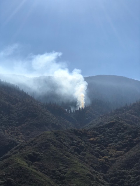 The five acre Eden Fire as seen from the Mineral King Road with white smoke.