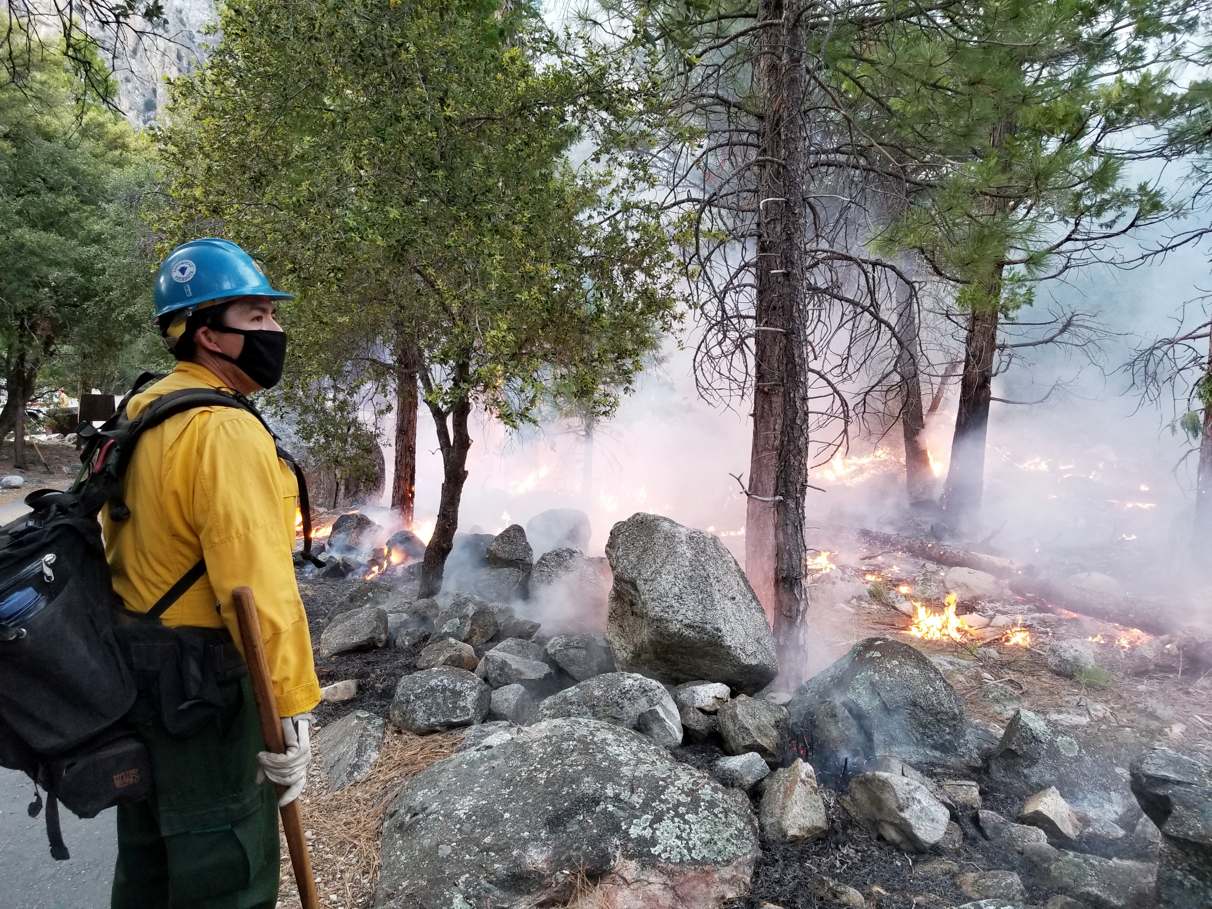 A firefighter from Arrowhead Hotshots monitors the Cedar Central Prescribed Burn along the Roaring River Trail in Kings Canyon National Park. A firefighter from Arrowhead Hotshots monitors the Cedar Central Prescribed Burn along the Roaring River Trail in Kings Canyon National Park.