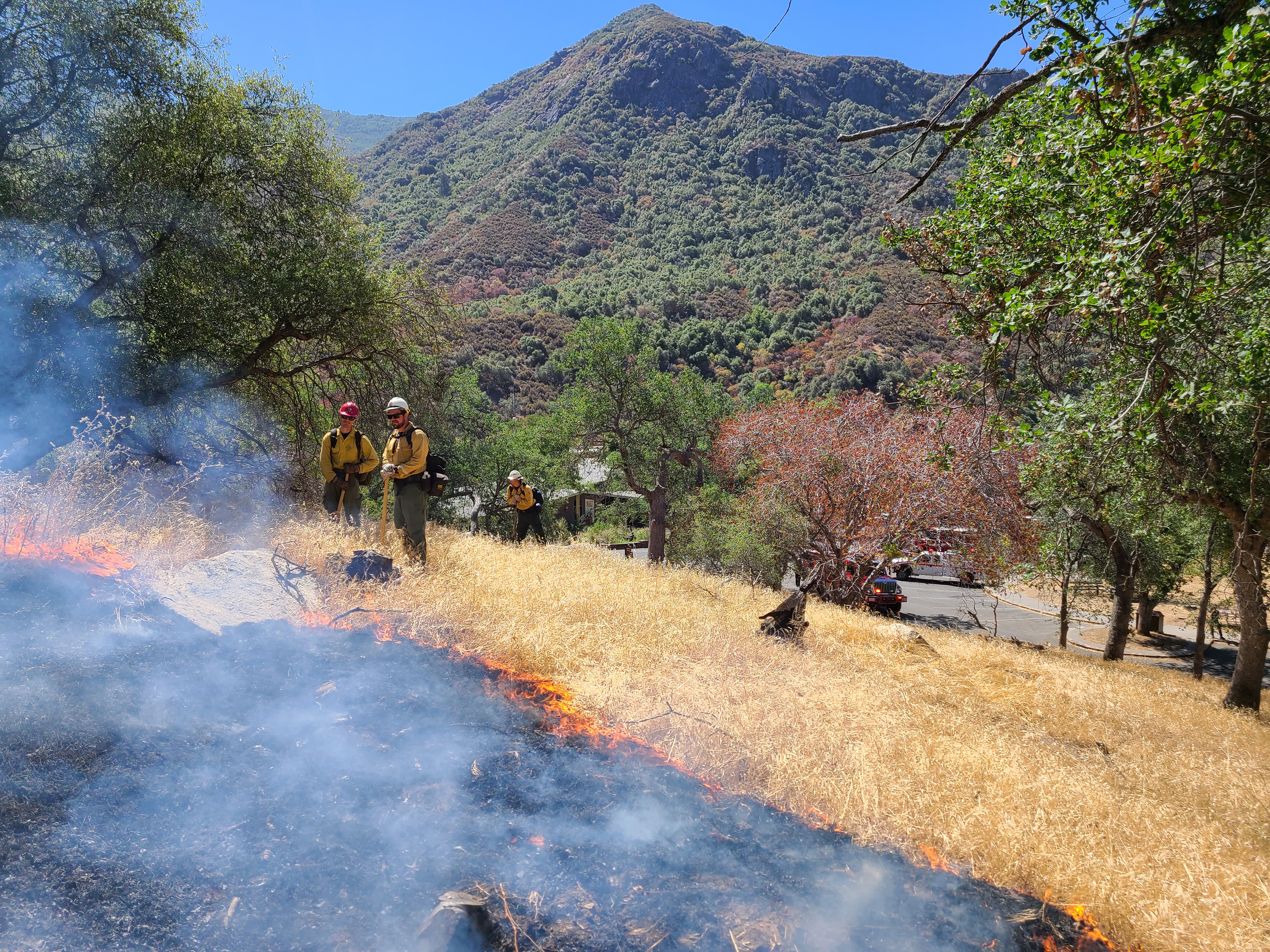 Fire managers work to eliminate unwanted dead fuel on a hill side about the Foothills Visitor Center inside Sequoia National Park through the use of prescribed burns. Low intensity flames burn through dead grass on a hillside with a mountain peak in the distance.