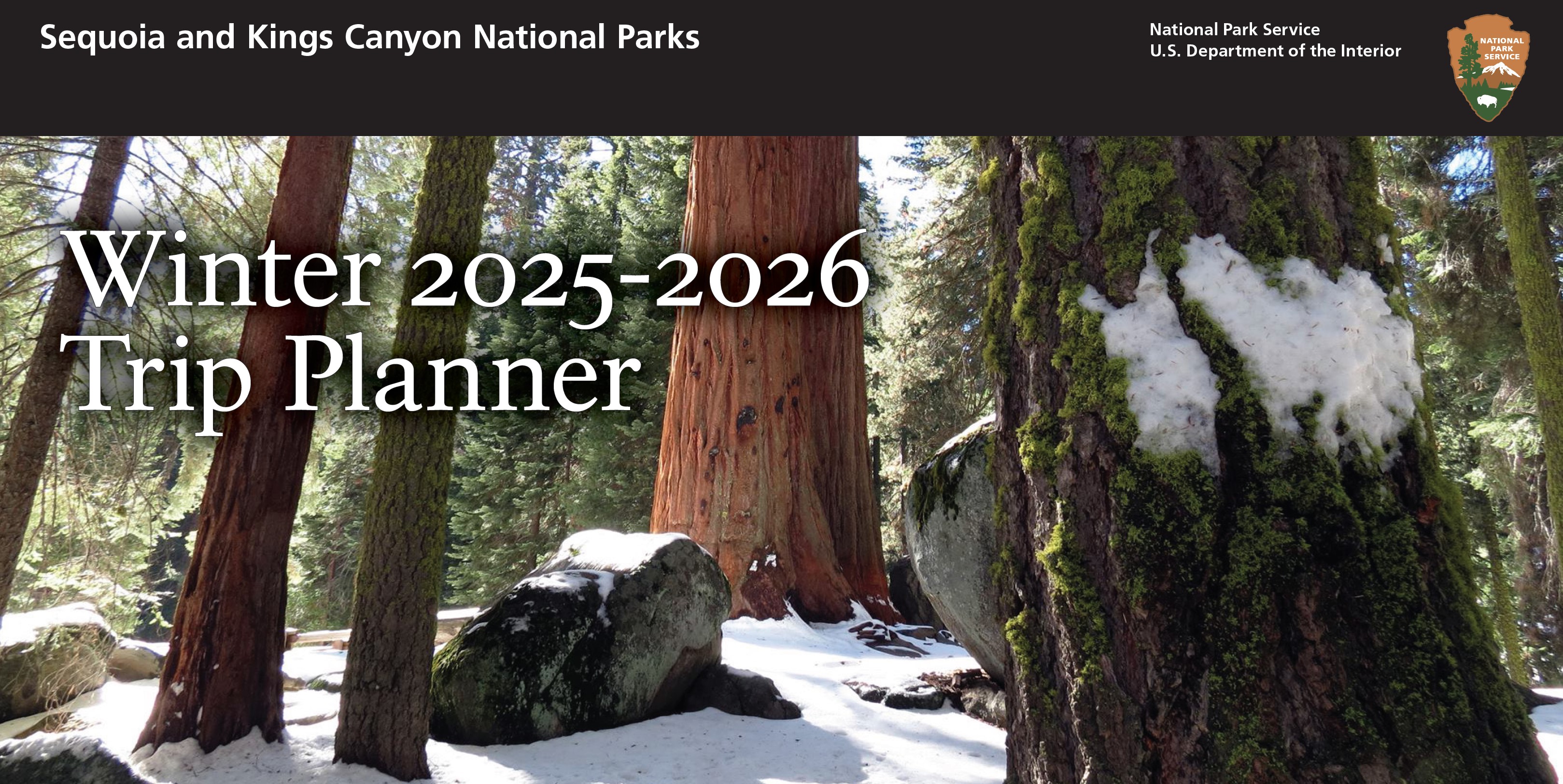 An view into an evergreen forest with snow on the forest floor. Several trees trunks including one large giant sequoia trunk in the image's center. A large boulder is in the foreground. Text reads, "Winter 2025-2026 Trip Planner."