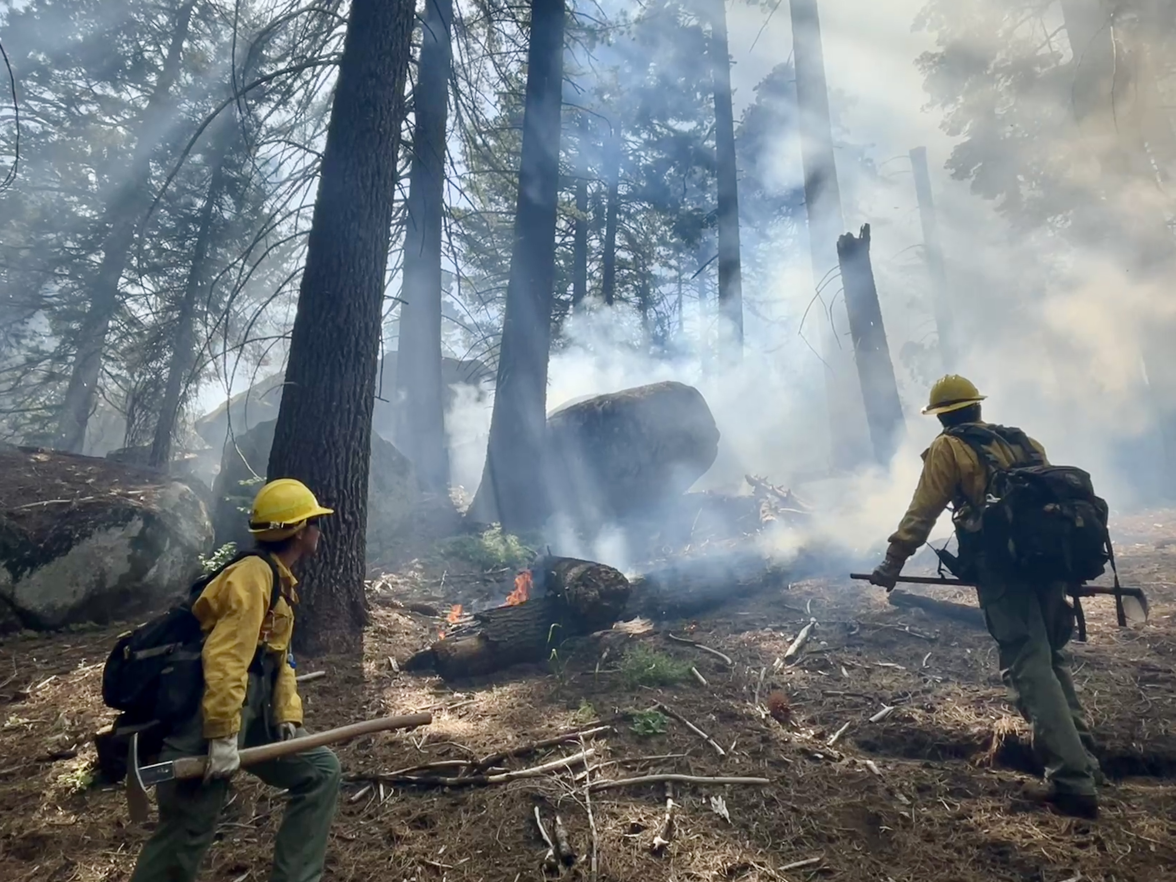 Two firefighters monitor the fire effects on a prescribed burn in a smokey forest.
