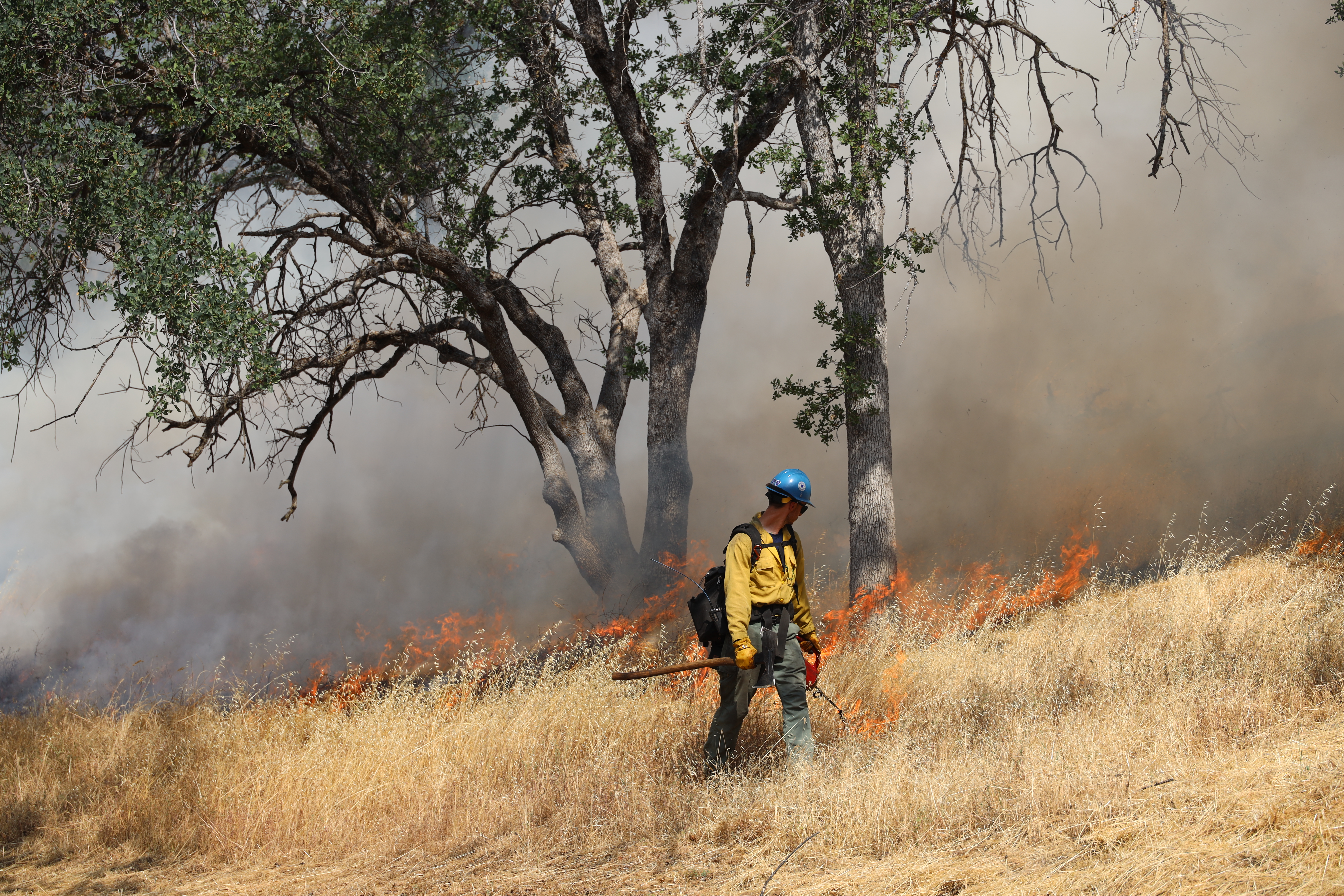 Person in blue hard hat and yellow shirt carrying a metal can with a spigot next to burning grass