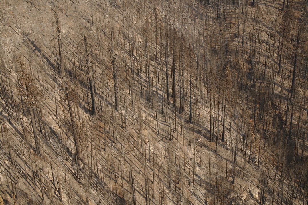 High severity fire effects at Board Camp Aerial image of a severely burned mountainside with dead trees