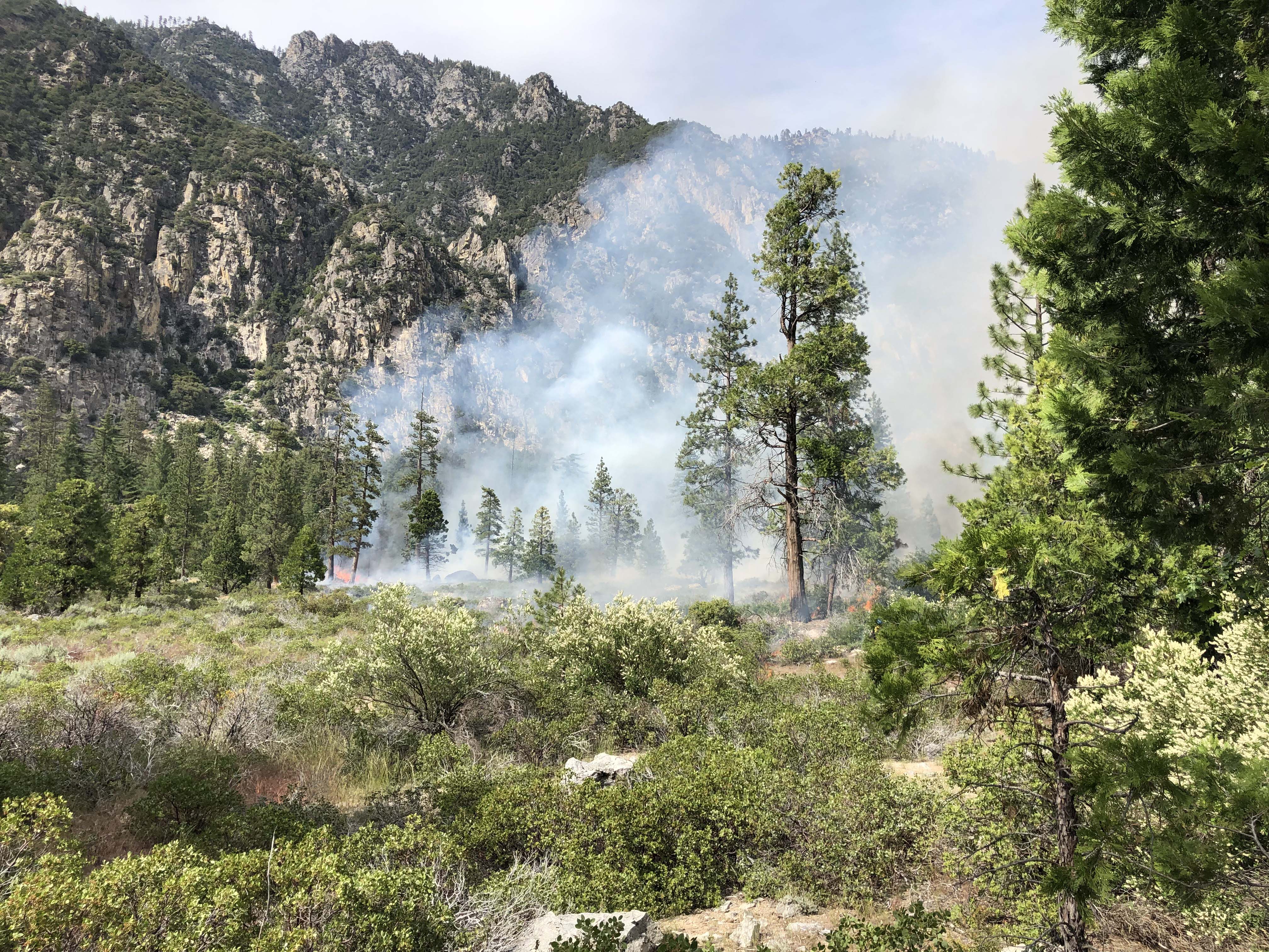 Smoke rises from shrub and woodland in front of a granite rockface