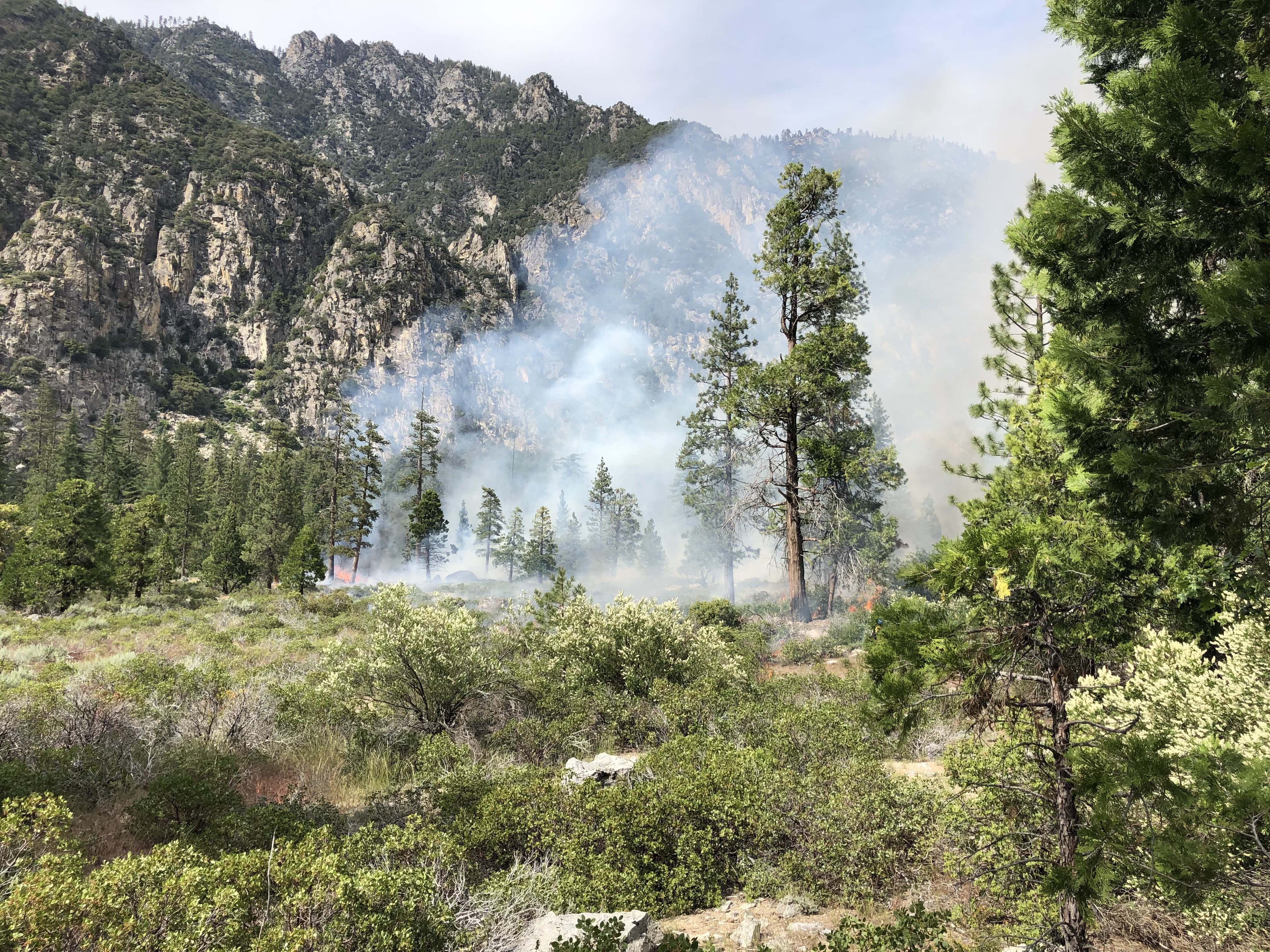 Cedar Central Prescribed Burn - NPS-KSinger Smoke rises from shrub and woodland in front of a granite rockface