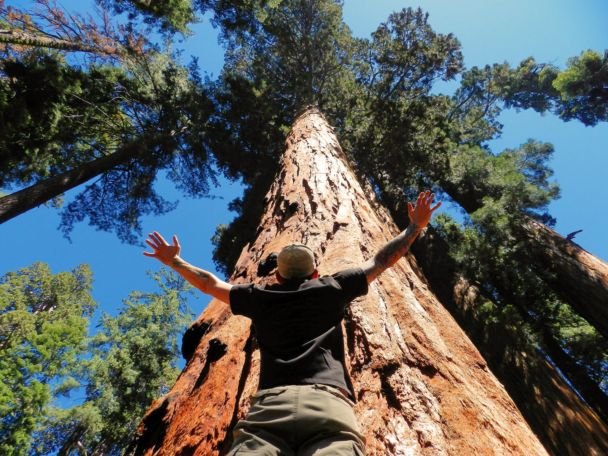 Chris Keiser (1 of 3)_021916)_Raise your hands to the sky if you feel alive! Low angle shot of a person with arms raised overhead in front of a gigantic conifer.