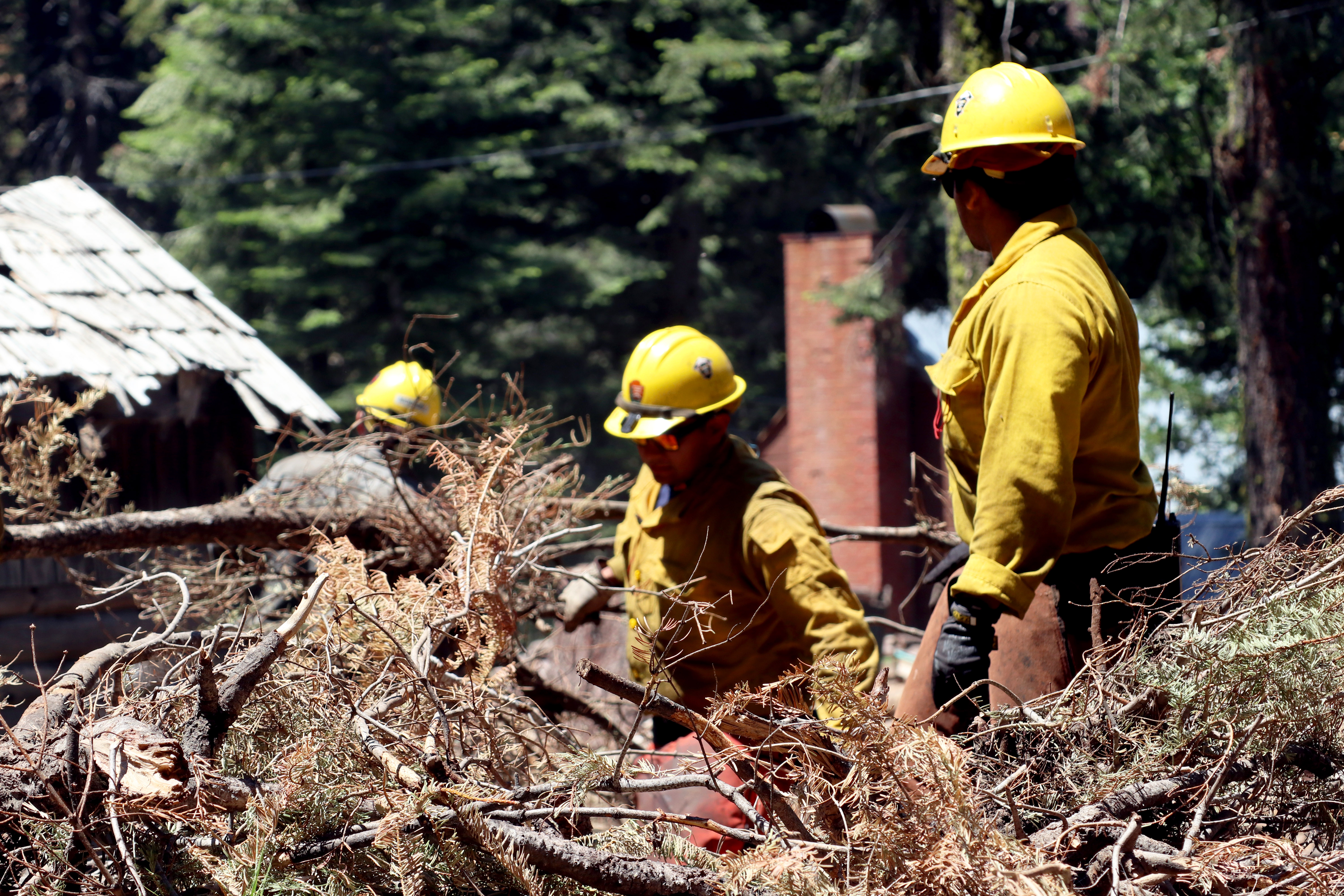 Firefighters from Sequoia National Park Engine 72 based in Three Rivers, CA, work on a defensible space clean-up project in the parks in 2017.