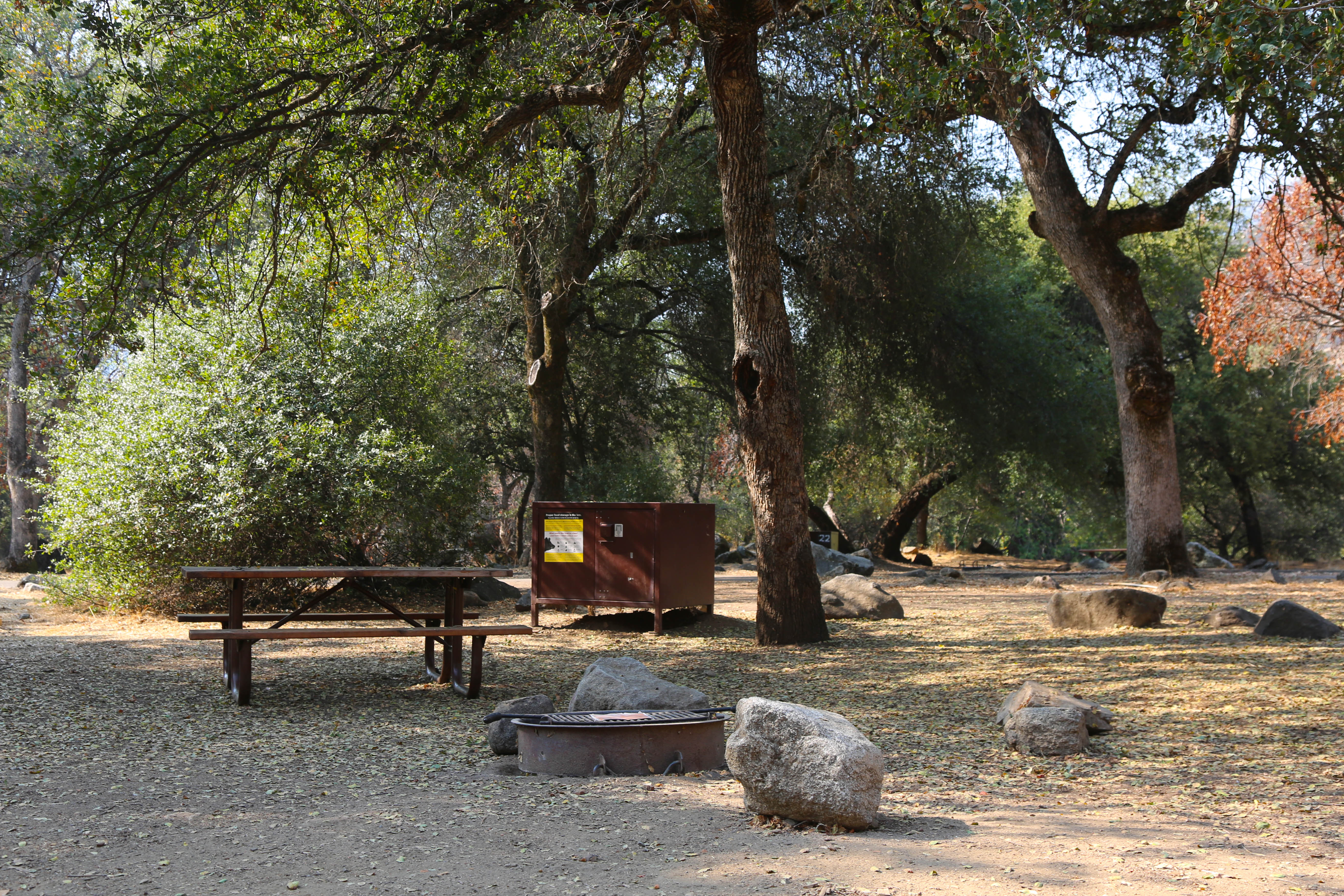 Campsite in full shade.