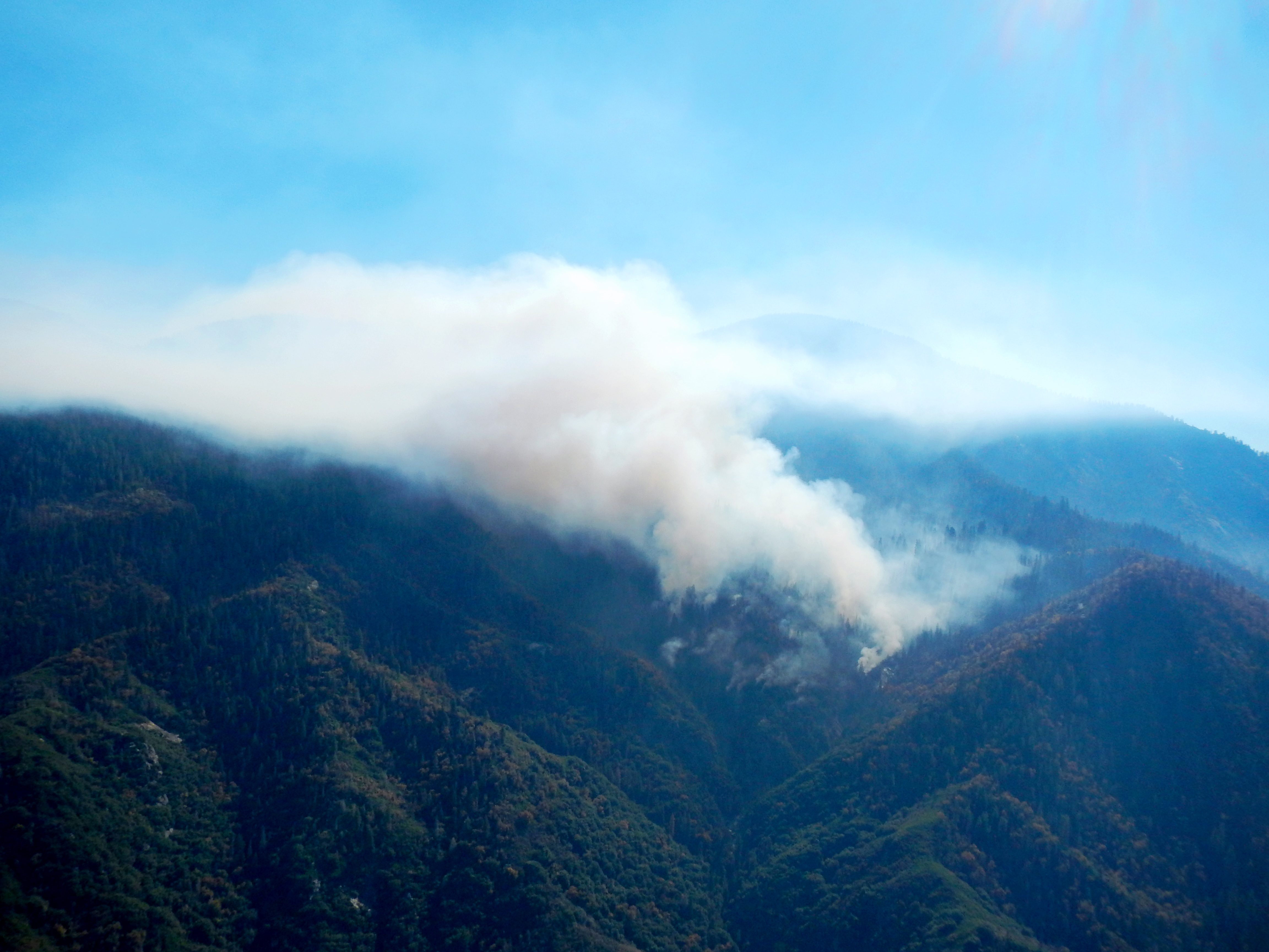 The Eden Fire is burning within the Eden Creek Grove of giant sequoias located in the John Krebs Wilderness of Sequoia National Park.  Photo: NPS / PStevko