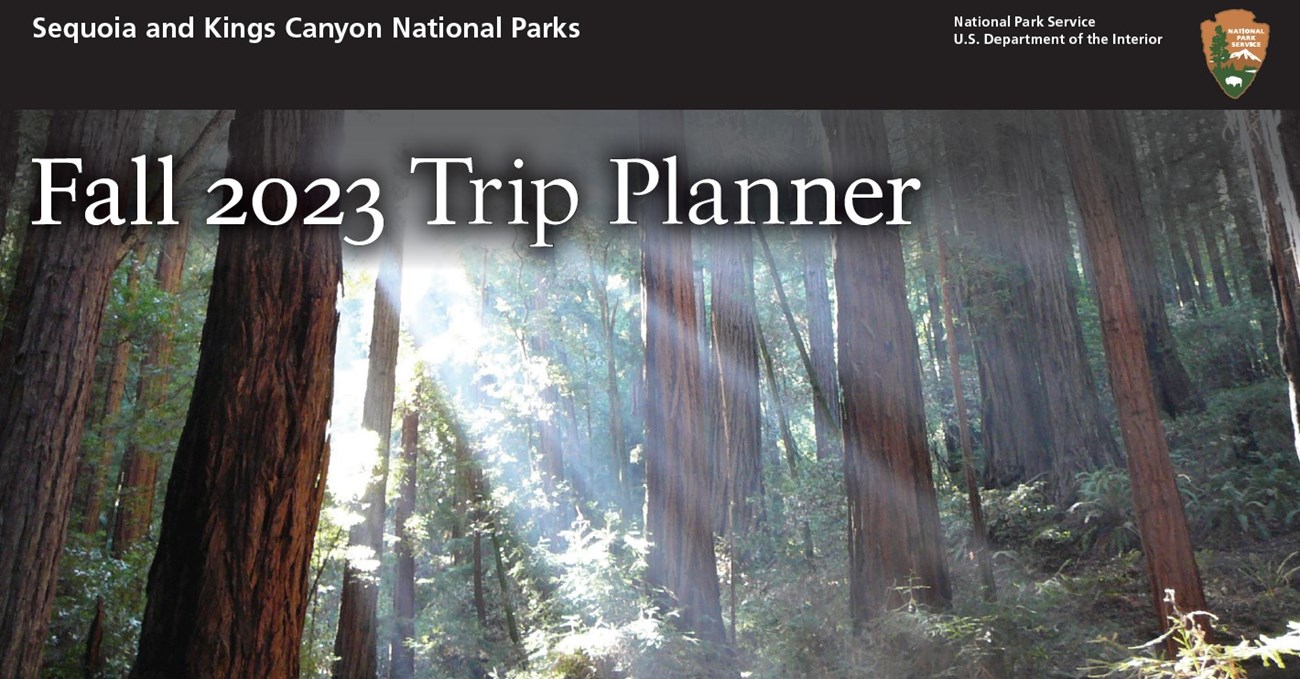 A photo of sun beams streaming diagonall down through a sequoia forest with overlaid text reading "Fall 2023 Trip Planner." Top of image is a black bar with the park name and a park service arrowhead logo.