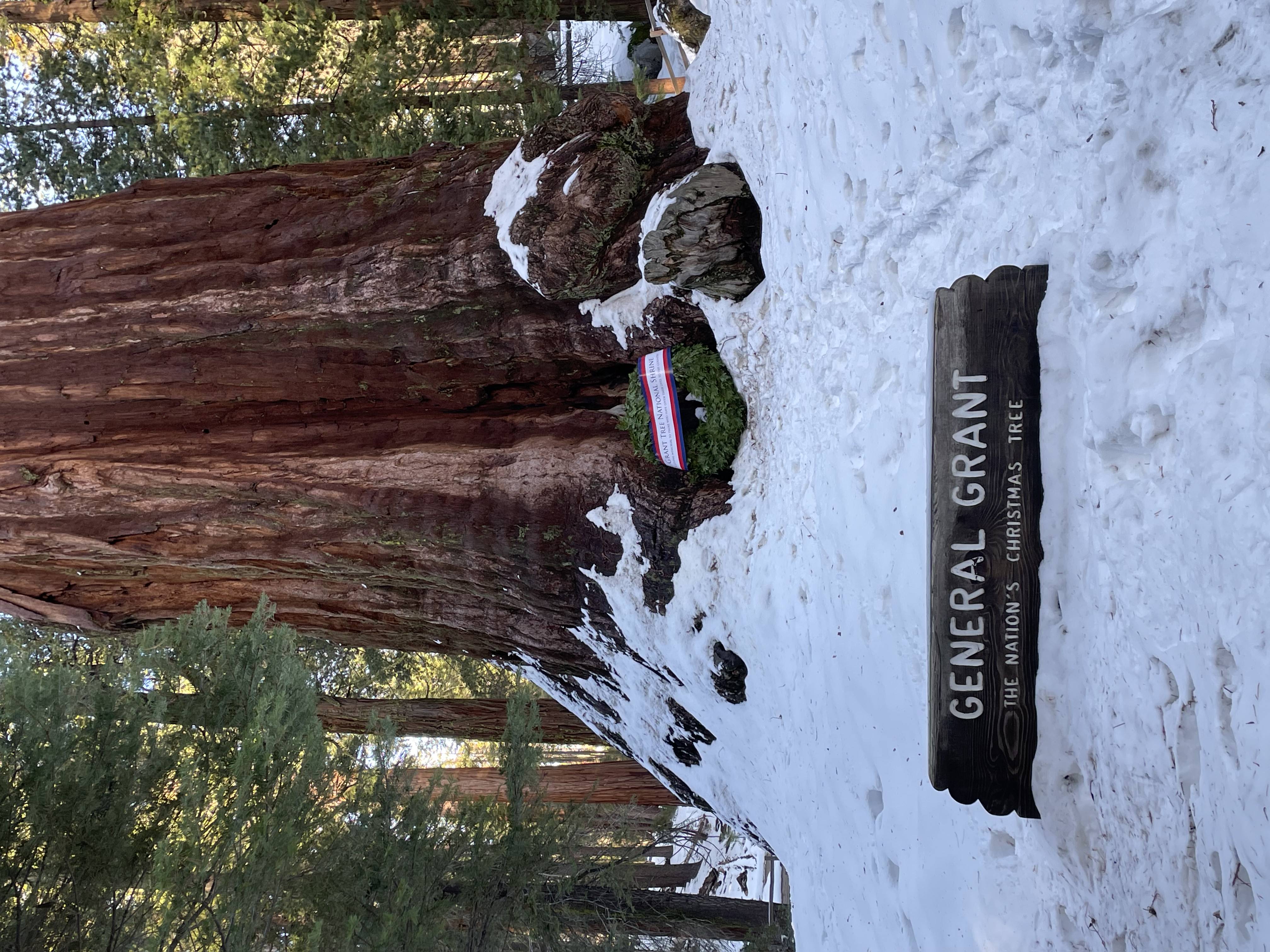 General Grant, The Nation’s Christmas Tree, with a wreath honoring servicemembers who have died in service to the nation’s freedom laid at the base of the tree in 2022.