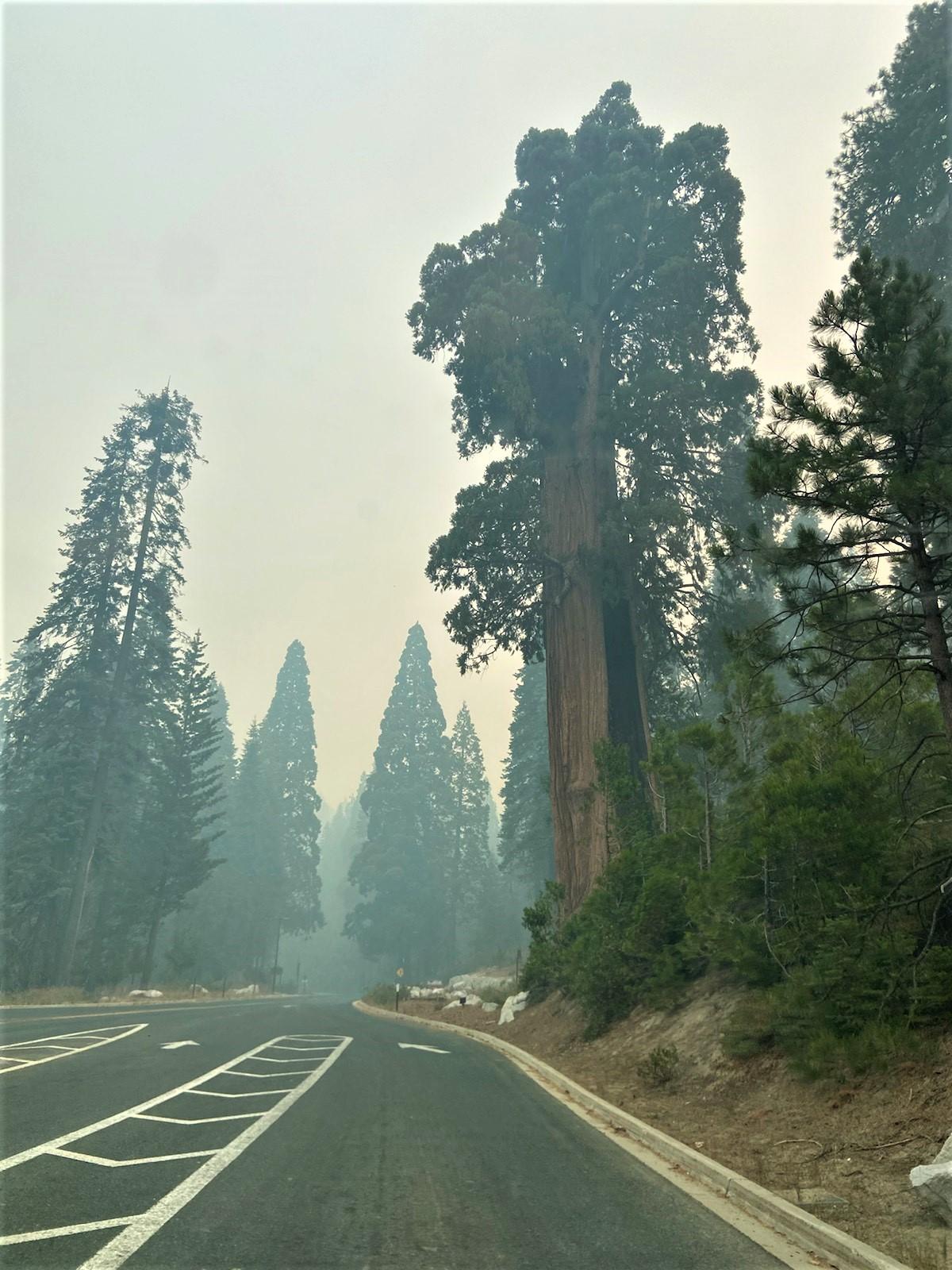 Kings Canyon National Park entrance with smoke and poor air quality.