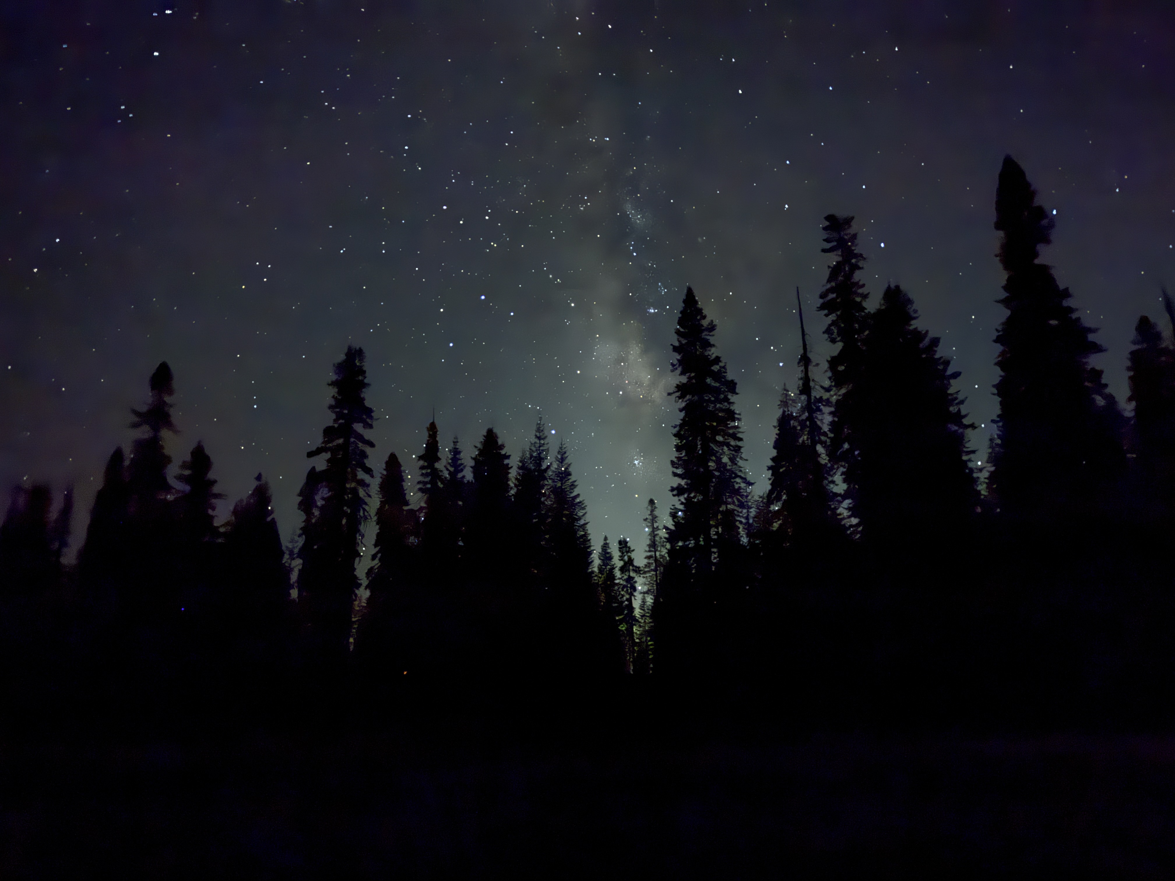 A view of the dark sky and Milky Way Galaxy seen from Wuksachi Lodge in Sequoia National Park.