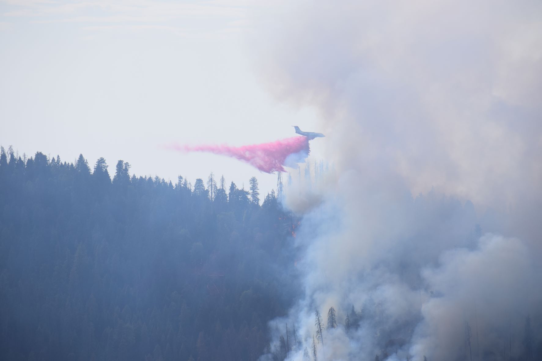 An orange plume blow an airplane as it flies over a smoky forested hillside