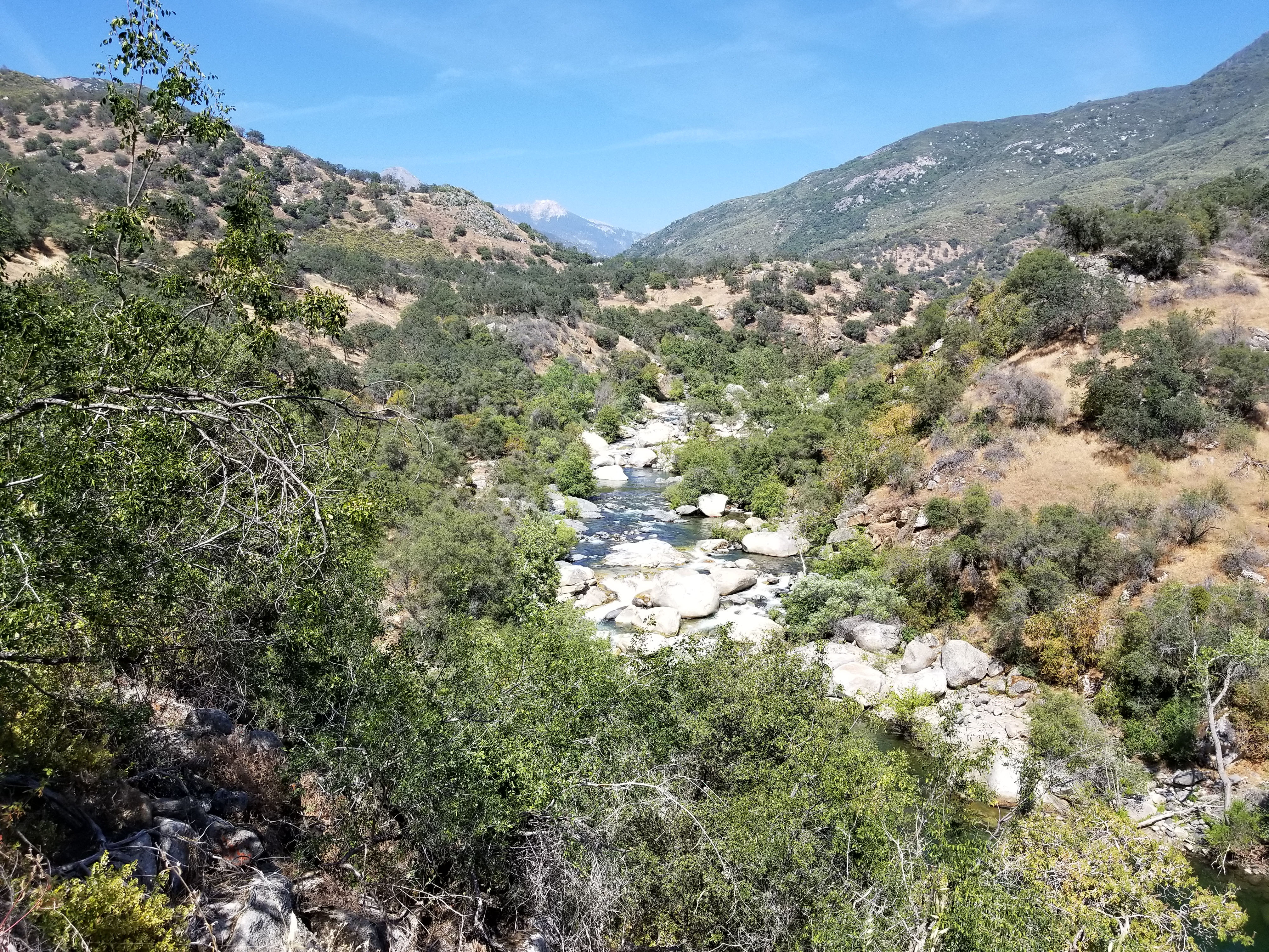 The Kaweah River looking up stream from inside Sequoia National Park