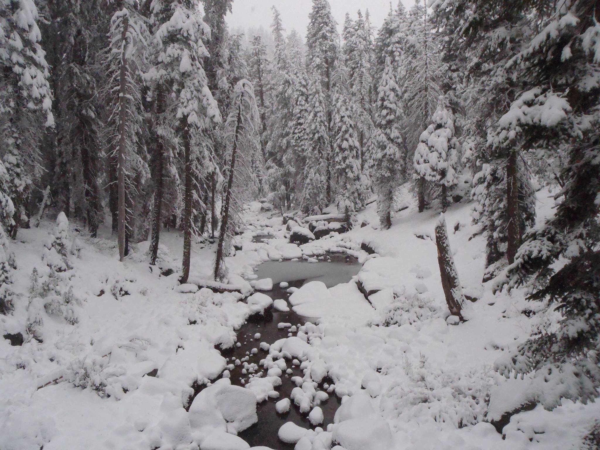 Snow at Marble Fork near Lodgepole, November 1, 2014