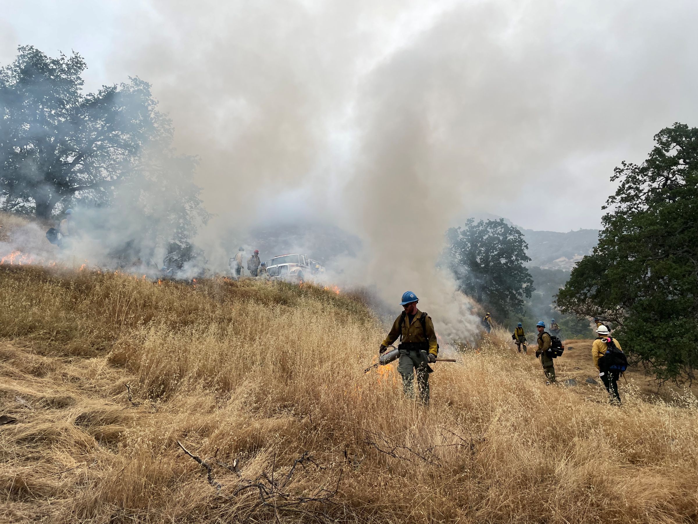 Firefighters perform prescribed burning operations to reduce highly flammable, fast-drying vegetation in Ash Mountain (2023).