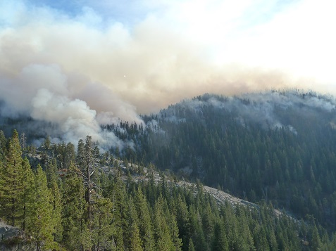Smoke on hillside