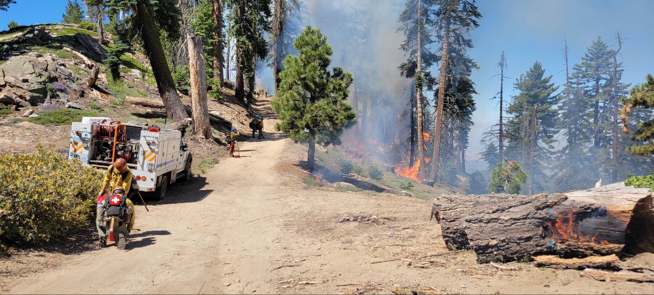 Park Ridge Prescribed Burn Firefighters monitor the progress of the Park Ridge Prescribed Burn in Kings Canyon National Park.