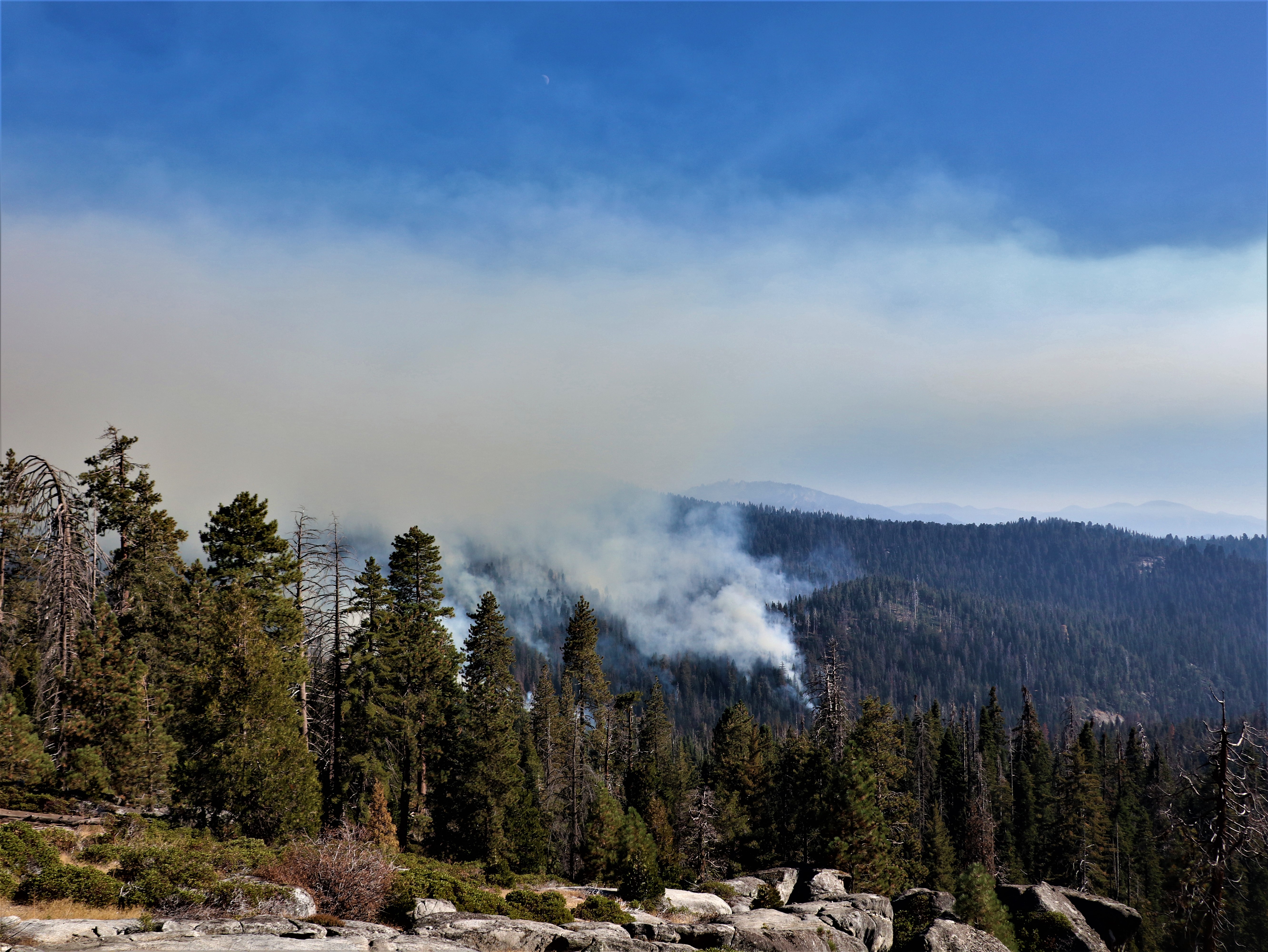 Smoke is seen rising out out of the Giant Forest during a prescribed burn. Smoke is seen rising out out of the giant forest during a prescribed burn.
