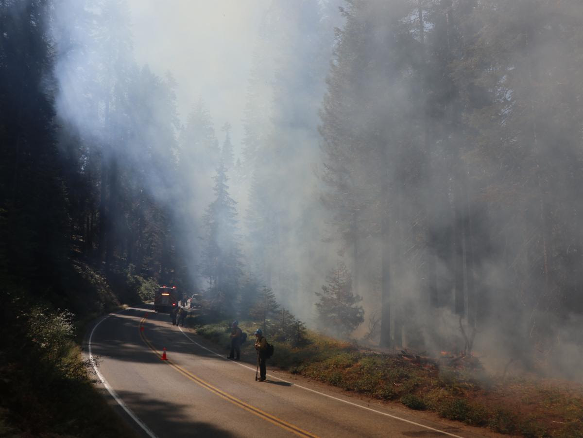 Firefighters monitor the road with smoke from a prescribed fire rising from the forest behind them.