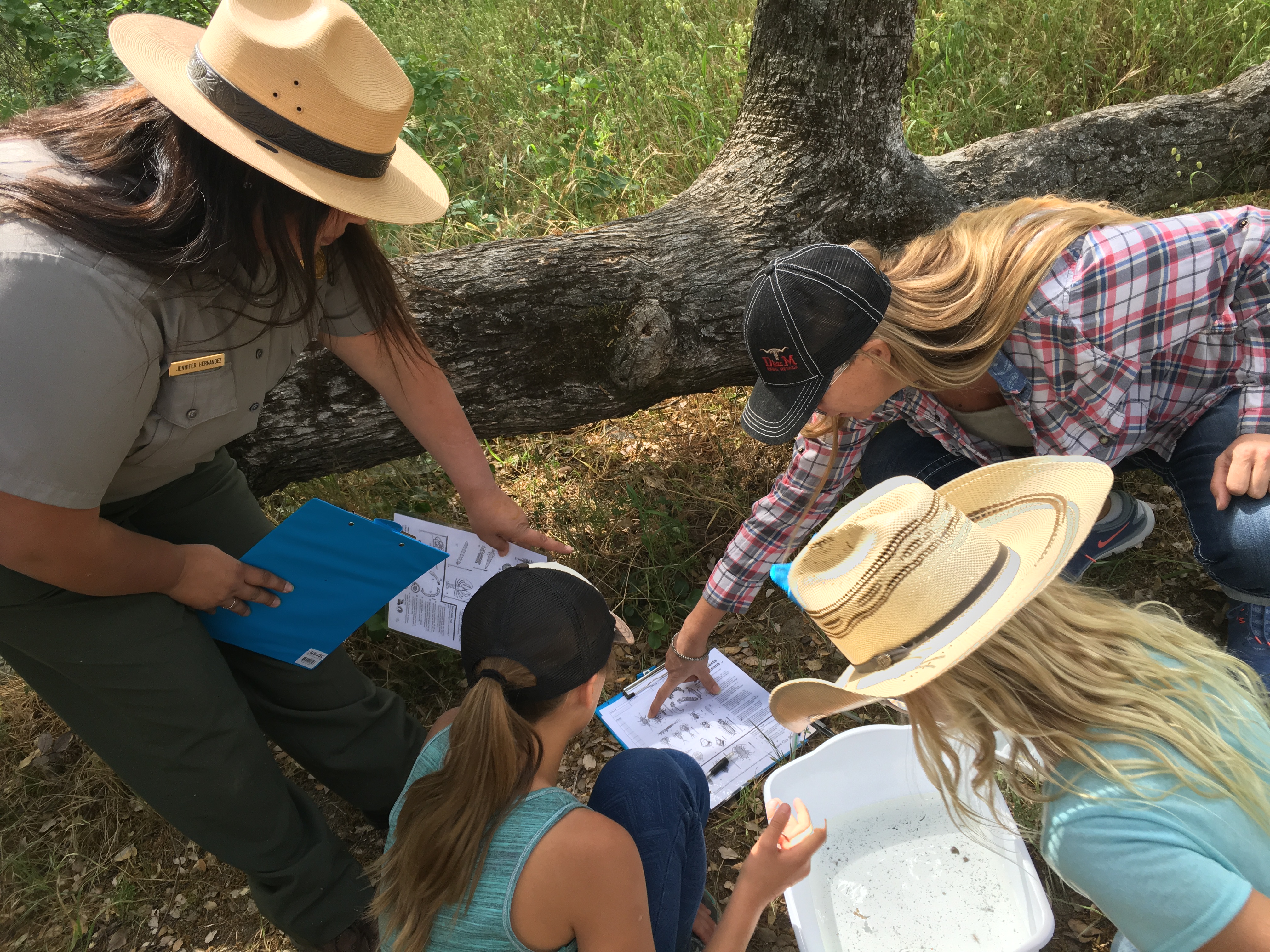 A ranger and kids study macroinvertebrates--large insects--to learn about water quality at Sequoia National Park.