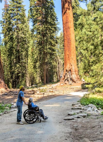 Hikers in Sequoia National Park- PC Kirke Wrench Photo of two Hikers on an accessible trail in Sequoia National Park using a wheelchair with a giant sequoia in the background.