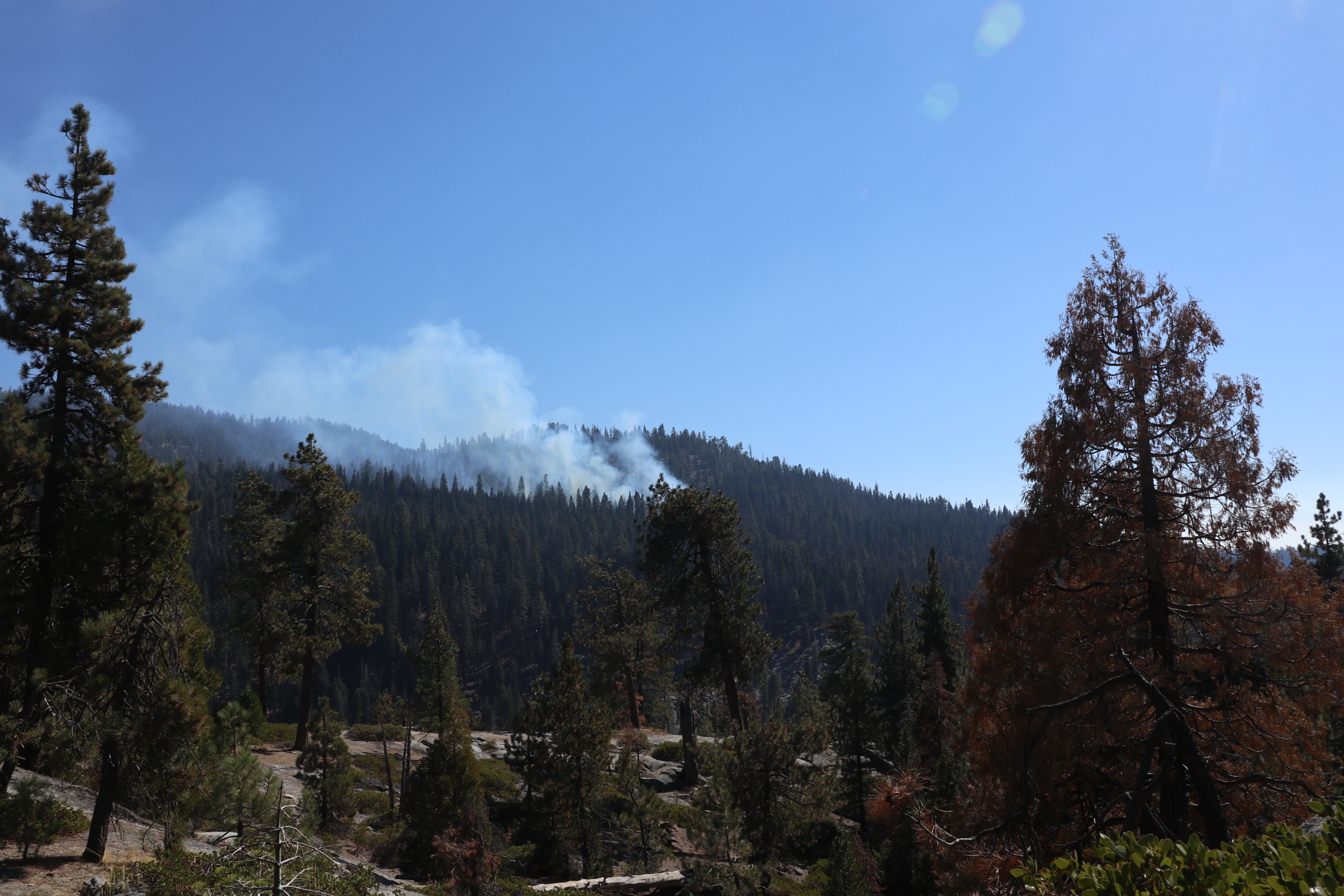 Smoke from the test fire of the Sherman Prescribed Burn is seen in a forest.