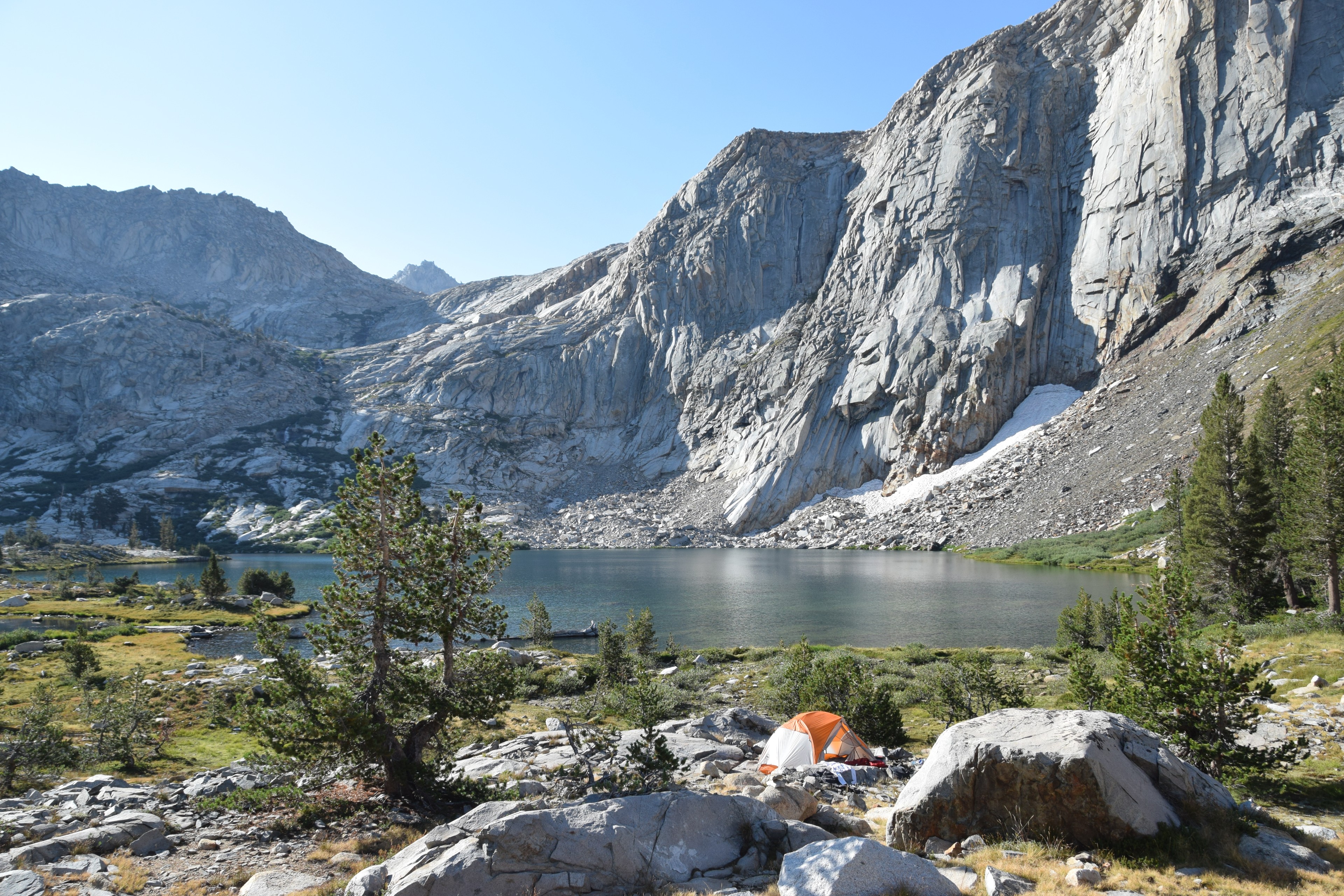 are dogs allowed in kings canyon national park