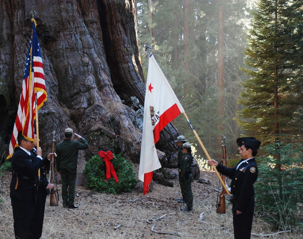 Memorial wreath placed at the base of the General Grant Tree.