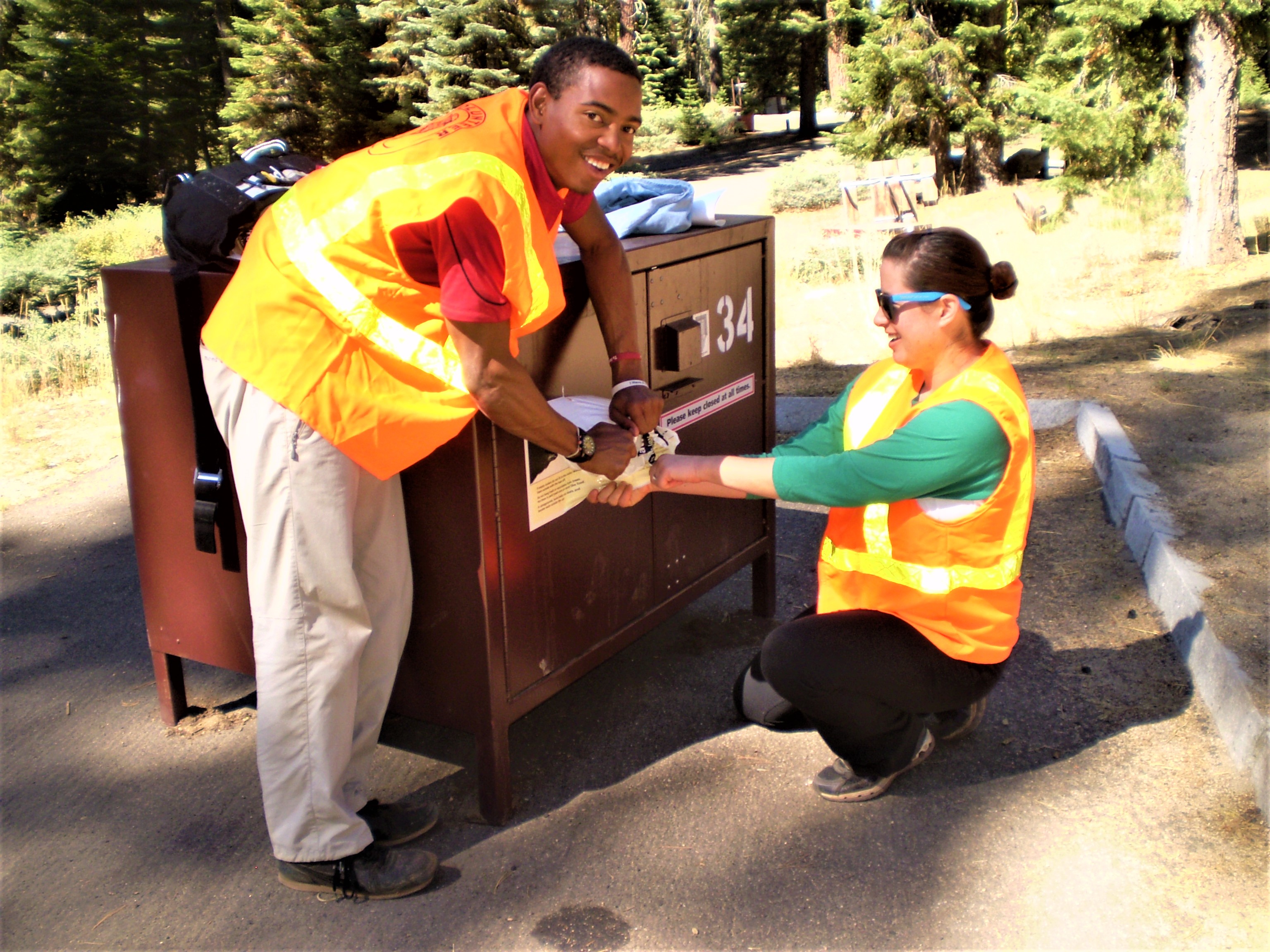 Two volunteers removing a sticker from a bear box in a campsite during a volunteer event.