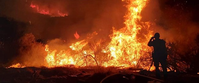 A firefighter stands in front of a blazing fire.