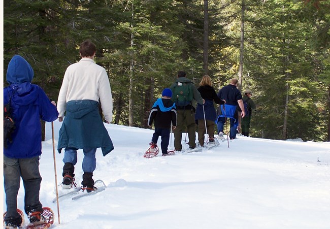 Ranger led Snowshoe Walk