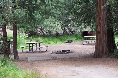 A site at Azalea Campground A site at Azalea Campground