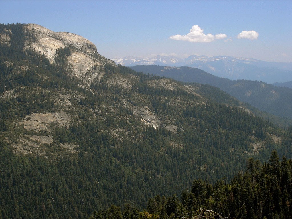 Looking up at the Big Baldy granite dome from Redwood Canyon