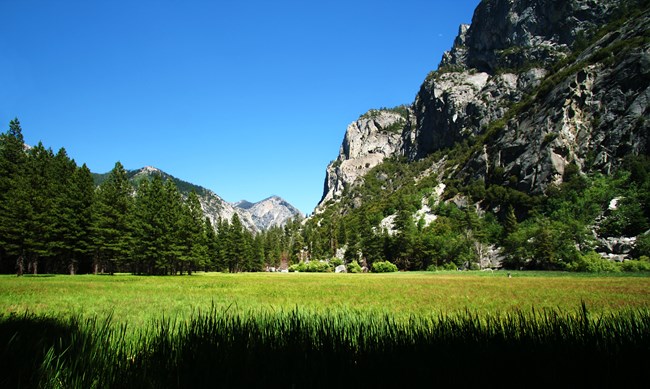 Zumwalt Meadow