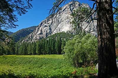 A meadow below steep granite cliffs