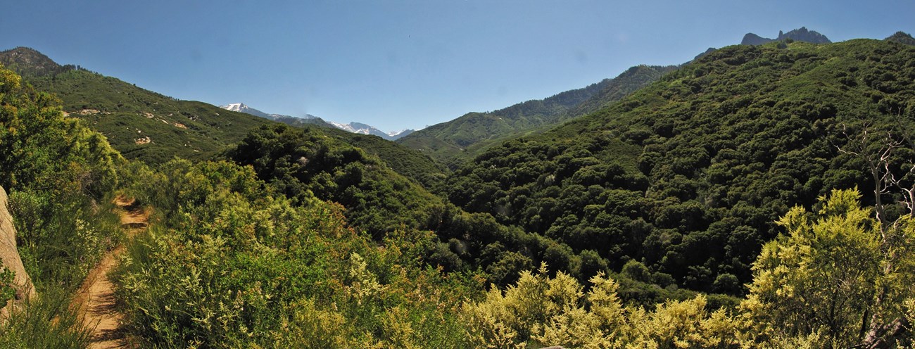 a trail winds through chapparal-covered foothills