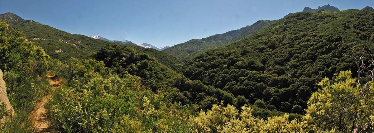 marble falls trail sequoia