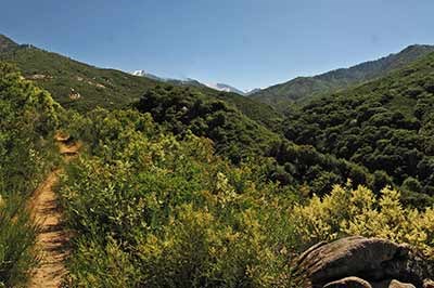 A foothpath leads through green chaparral hills