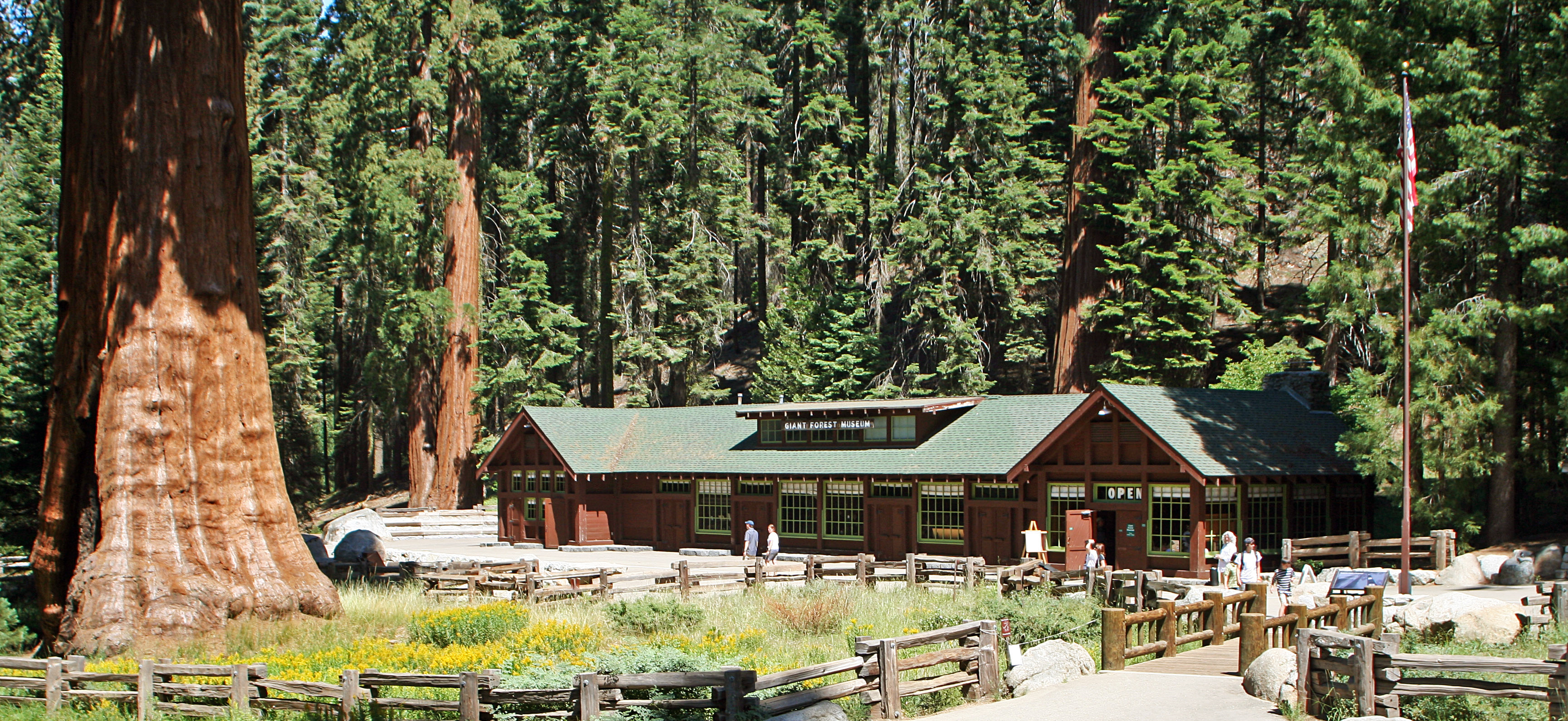 Giant Forest Museum offers exhibits about the natural history of giant sequoias.